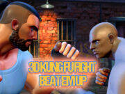 3D KUNG FU FIGHT