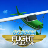 Cessna Flight Simulator 3D